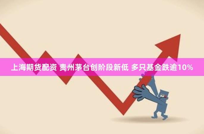 上海期货配资 贵州茅台创阶段新低 多只基金跌逾10%