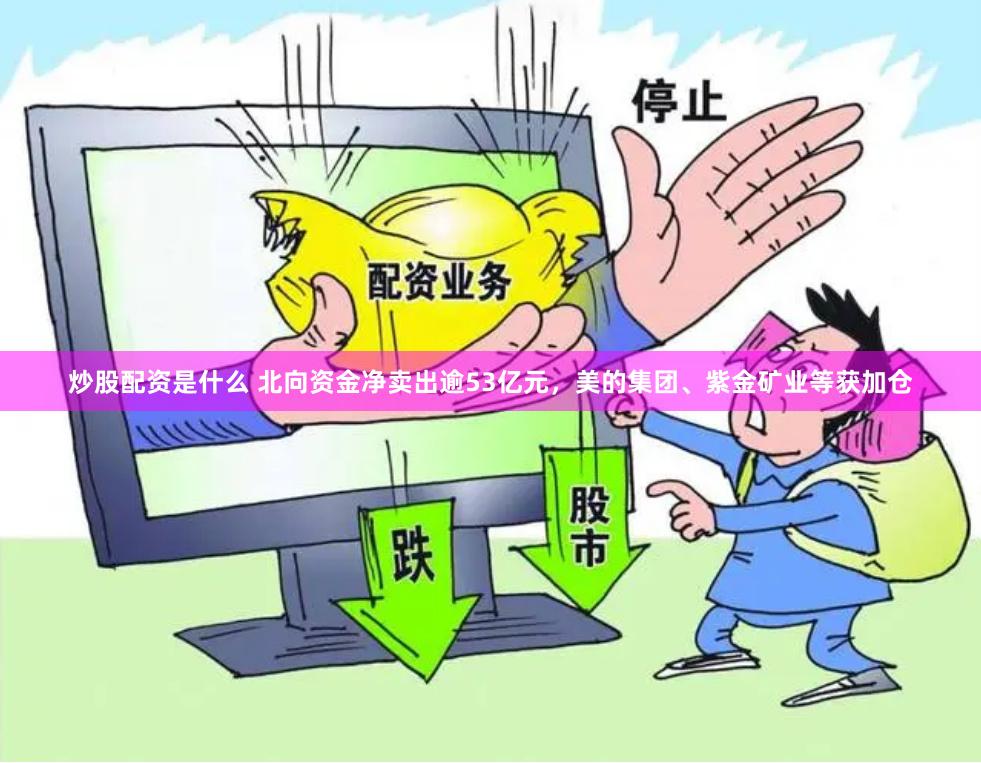 炒股配资是什么 北向资金净卖出逾53亿元，美的集团、紫金矿业等获加仓