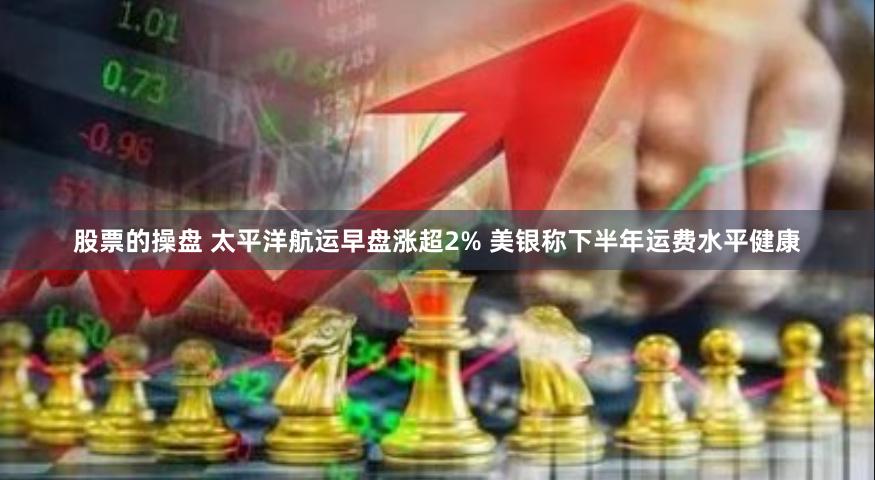 股票的操盘 太平洋航运早盘涨超2% 美银称下半年运费水平健康