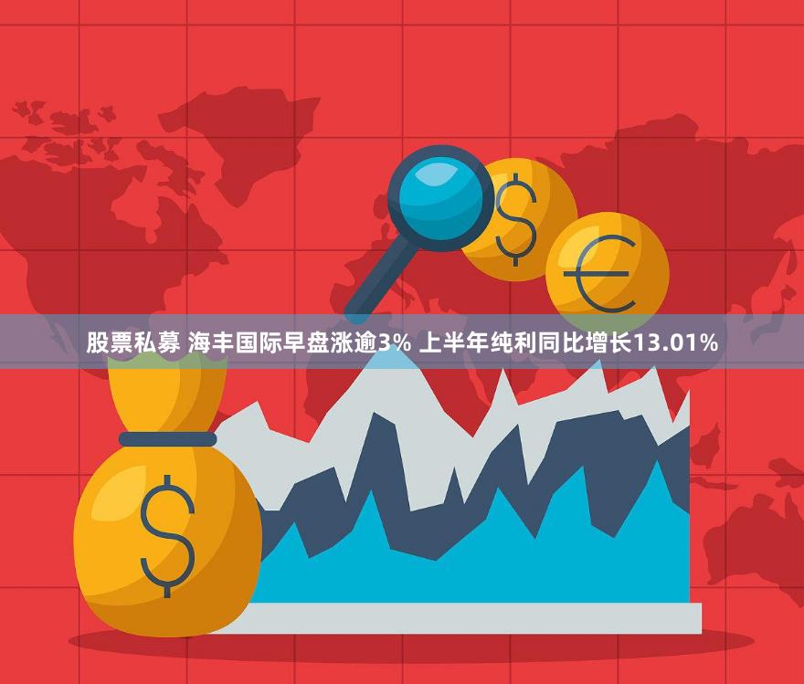 股票私募 海丰国际早盘涨逾3% 上半年纯利同比增长13.01%