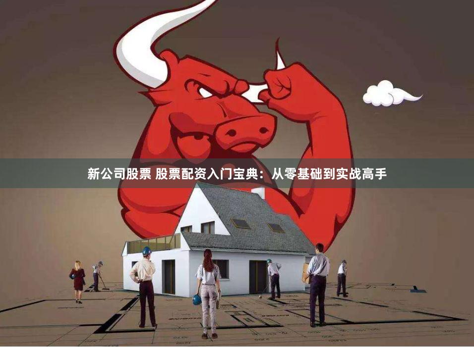 新公司股票 股票配资入门宝典：从零基础到实战高手